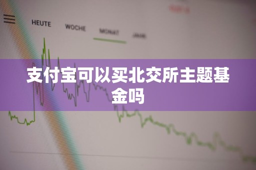 支付宝可以买北交所主题基金吗