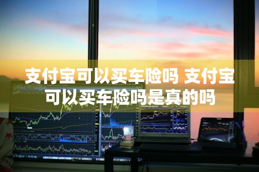 支付宝可以买车险吗 支付宝可以买车险吗是真的吗