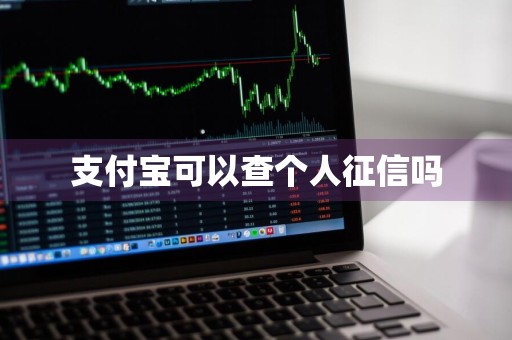 支付宝可以查个人征信吗