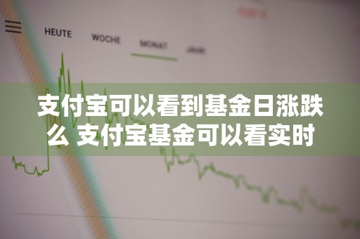 支付宝可以看到基金日涨跌么 支付宝基金可以看实时涨跌吗