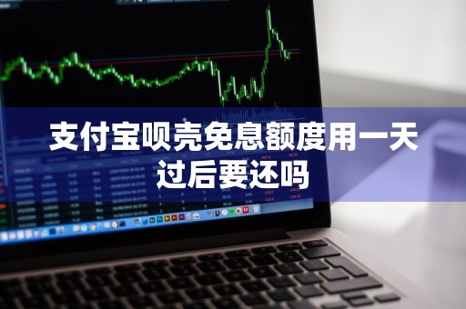 支付宝呗壳免息额度用一天过后要还吗