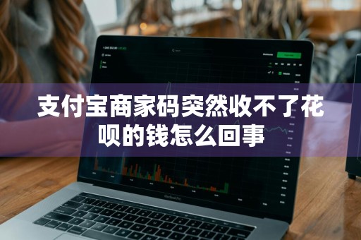 支付宝商家码突然收不了花呗的钱怎么回事