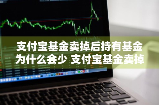 支付宝基金卖掉后持有基金为什么会少 支付宝基金卖掉后持有基金为什么会少钱