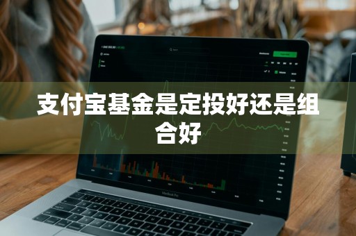 支付宝基金是定投好还是组合好