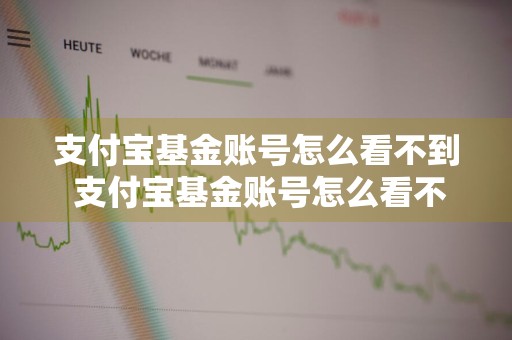支付宝基金账号怎么看不到 支付宝基金账号怎么看不到了