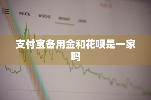 支付宝备用金和花呗是一家吗