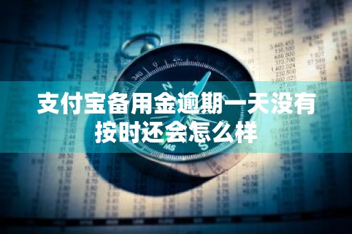 支付宝备用金逾期一天没有按时还会怎么样