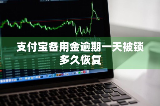 支付宝备用金逾期一天被锁多久恢复