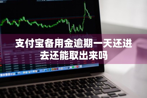支付宝备用金逾期一天还进去还能取出来吗