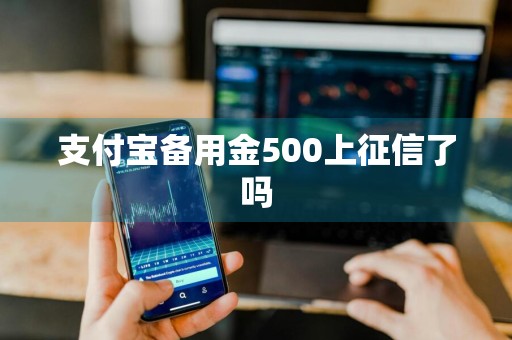 支付宝备用金500上征信了吗