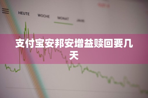 支付宝安邦安增益赎回要几天