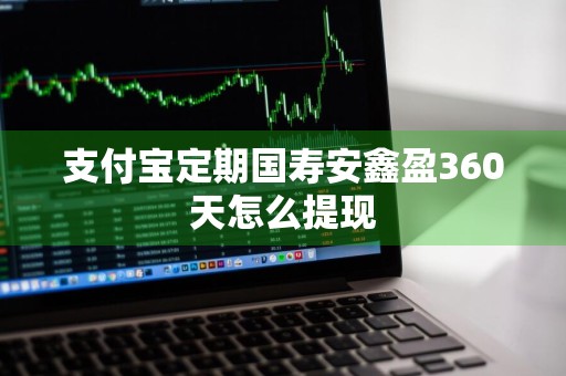 支付宝定期国寿安鑫盈360天怎么提现