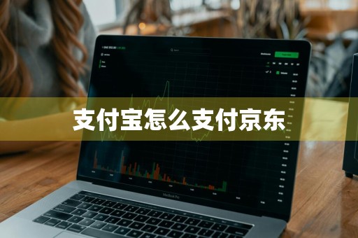 支付宝怎么支付京东