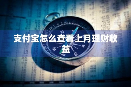支付宝怎么查看上月理财收益