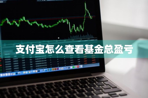 支付宝怎么查看基金总盈亏