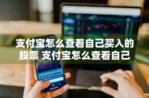 支付宝怎么查看自己买入的股票 支付宝怎么查看自己买入的股票价格