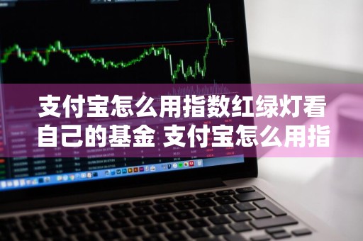 支付宝怎么用指数红绿灯看自己的基金 支付宝怎么用指数红绿灯看自己的基金收益