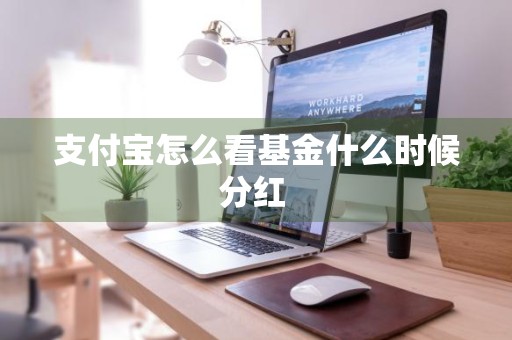支付宝怎么看基金什么时候分红 
