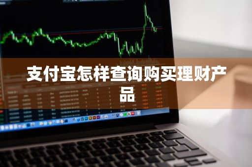 支付宝怎样查询购买理财产品