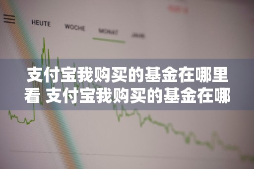 支付宝我购买的基金在哪里看 支付宝我购买的基金在哪里看到