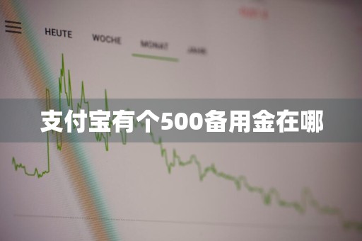 支付宝有个500备用金在哪