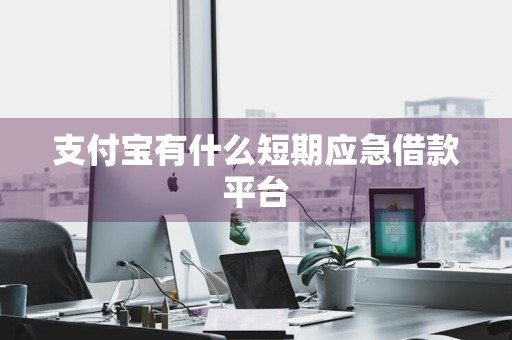 支付宝有什么短期应急借款平台