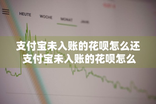 支付宝未入账的花呗怎么还 支付宝未入账的花呗怎么还款