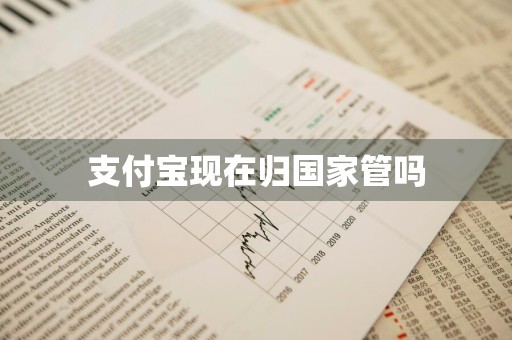 支付宝现在归国家管吗