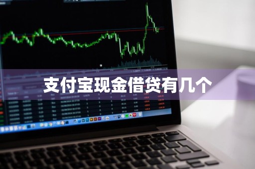 支付宝现金借贷有几个