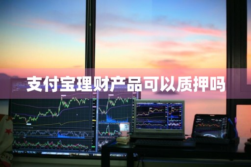 支付宝理财产品可以质押吗