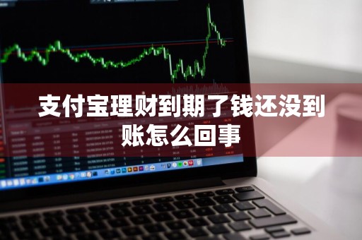 支付宝理财到期了钱还没到账怎么回事