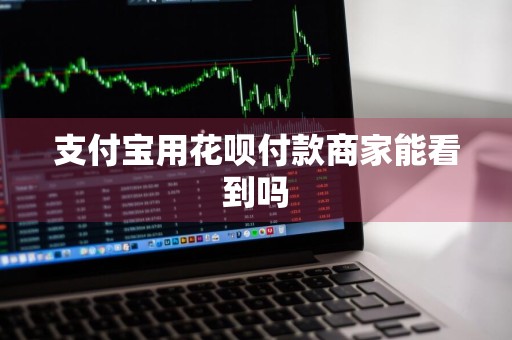 支付宝用花呗付款商家能看到吗