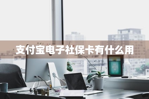 支付宝电子社保卡有什么用