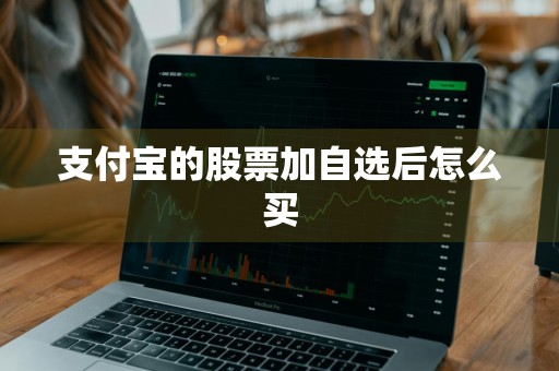 支付宝的股票加自选后怎么买