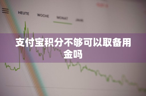 支付宝积分不够可以取备用金吗