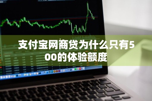 支付宝网商贷为什么只有500的体验额度
