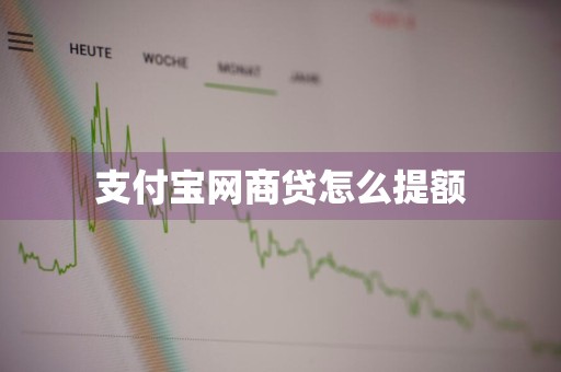 支付宝网商贷怎么提额