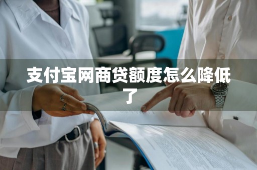 支付宝网商贷额度怎么降低了