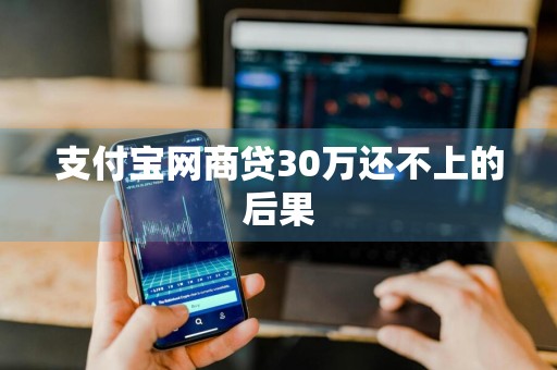 支付宝网商贷30万还不上的后果