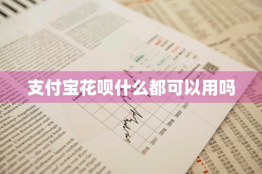 支付宝花呗什么都可以用吗