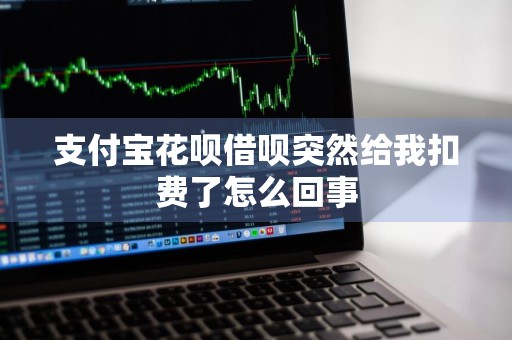 支付宝花呗借呗突然给我扣费了怎么回事