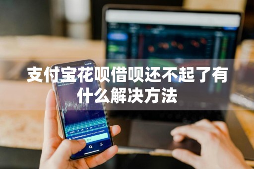 支付宝花呗借呗还不起了有什么解决方法