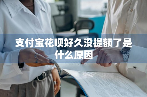 支付宝花呗好久没提额了是什么原因