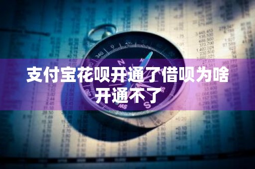 支付宝花呗开通了借呗为啥开通不了