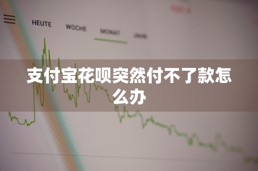 支付宝花呗突然付不了款怎么办