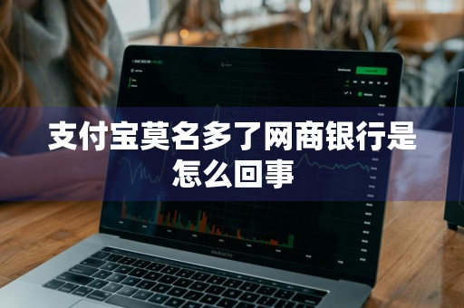 支付宝莫名多了网商银行是怎么回事