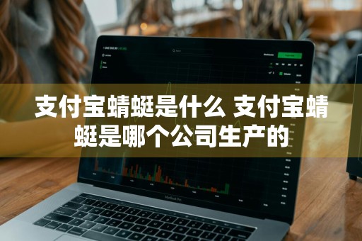 支付宝蜻蜓是什么 支付宝蜻蜓是哪个公司生产的