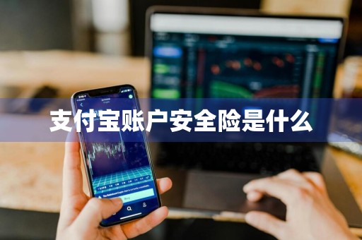 支付宝账户安全险是什么