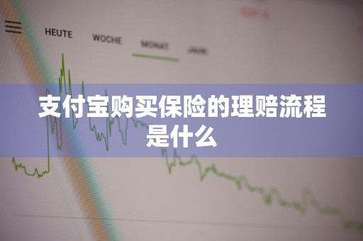 支付宝购买保险的理赔流程是什么