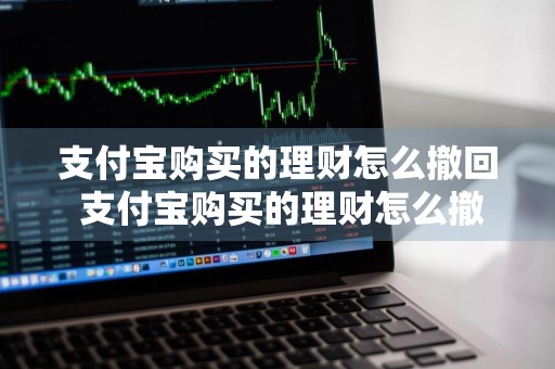 支付宝购买的理财怎么撤回 支付宝购买的理财怎么撤回?